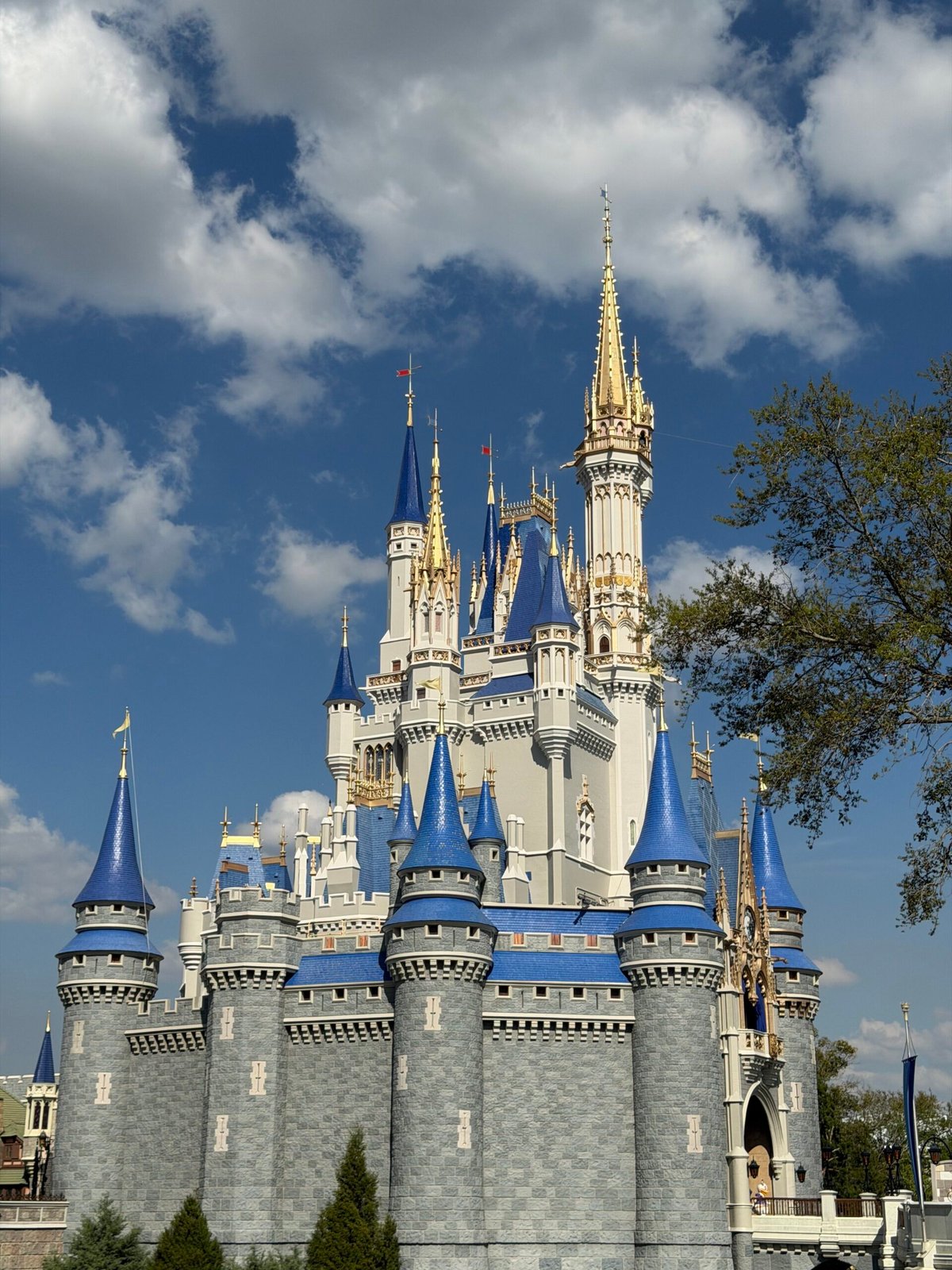 Magic Kingdom Castle