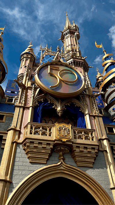 DVC Rentals